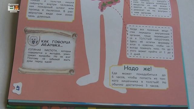 Детям про зубки | Энциклопедия для детей смотреть онлайн