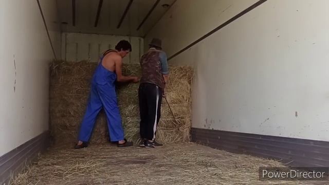 ЗАДЕЛ НА СЕНО...ДОРОГО КУПИЛИ ЗА ДОРОГО И ПРОДАДИМ смотреть онлайн