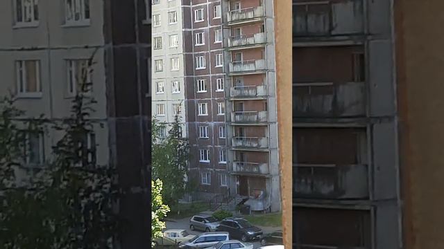 нет зеркала! лифты Otis Gen2 2020 караваевская улица (поликлиника N73)