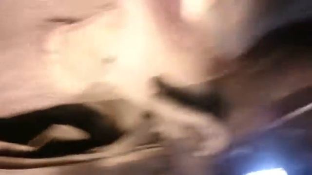 Чип Тюнинг Kia Sportage3 г. Чехов смотреть онлайн