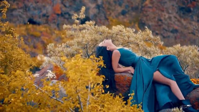 Роза Филберг - Пополам / Roza Filberg - Popolam | 2019 NEW смотреть онлайн