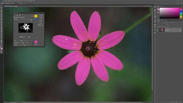 Photoshop | Replace Color смотреть онлайн