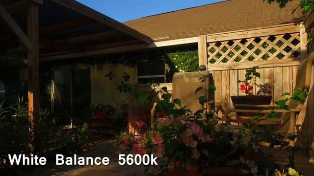 White Balance Color Temps 5600k vs 6500k смотреть онлайн