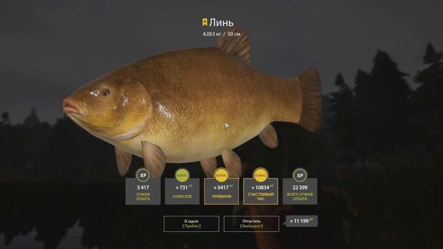 Секреты Успеха?! • Одни Трофеи! • Как найти точку на Линя? • Старый Острог • Русская Рыбалка 4 #100 смотреть онлайн