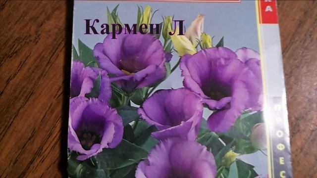 Когда сеять эустому. Опыт из Сибири смотреть онлайн