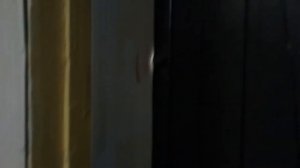 Лайфхак: как декорировать пространство между входными дверями.