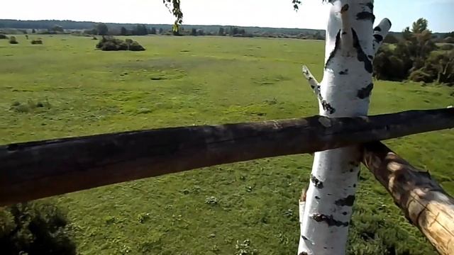 Засидка на Волка, простенькая. смотреть онлайн