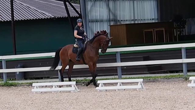 ЛеонардоТренирвка4 смотреть онлайн