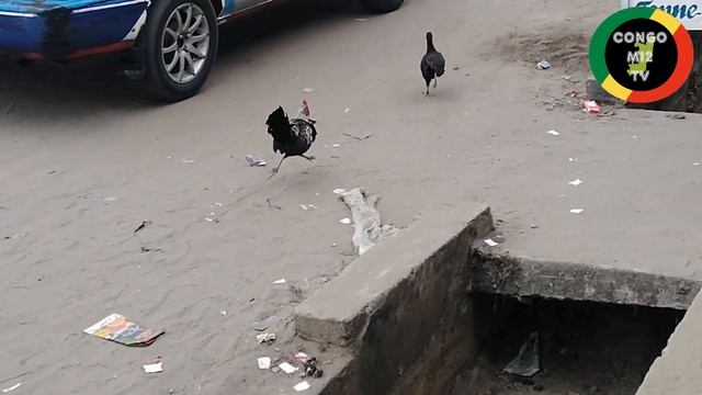 PETITE VUE D'UNE PARTIE DE POINTE NOIRE AU CONGO BRAZZAVILLE смотреть онлайн