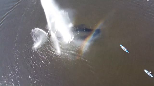 Выборг. Летняя сап-прогулка смотреть онлайн