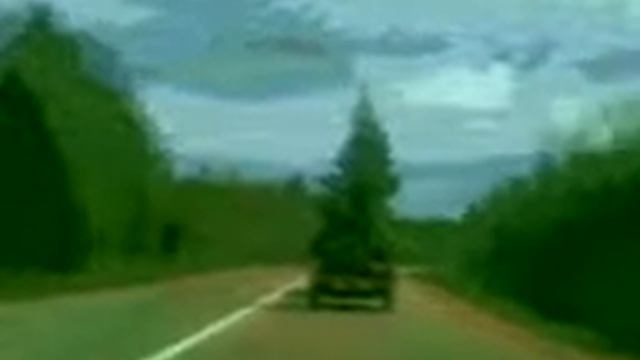 Ёлка на колёсах!