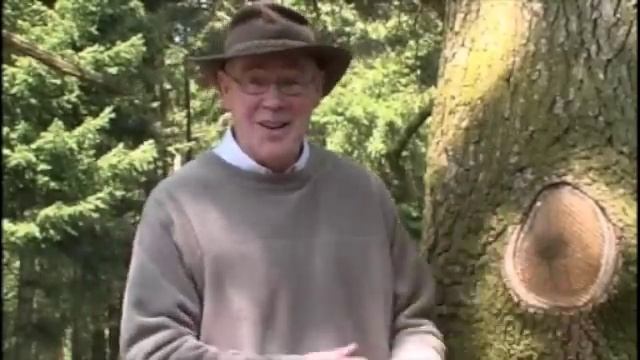 Cep | Seven Mushroom Challenge | John Wright смотреть онлайн