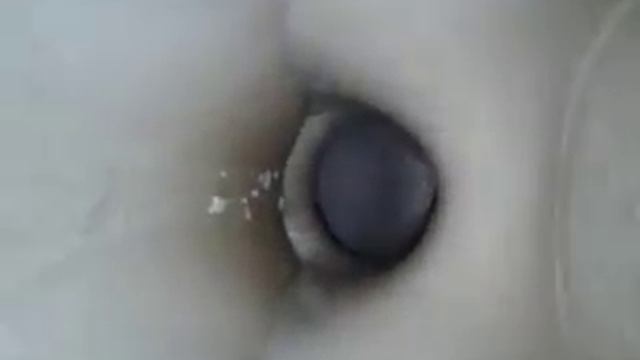 Унитаз-компакт Santek Бореаль и его большой недостаток! Читайте в ОпИсАнИи ниже ??????????????????? смотреть онлайн