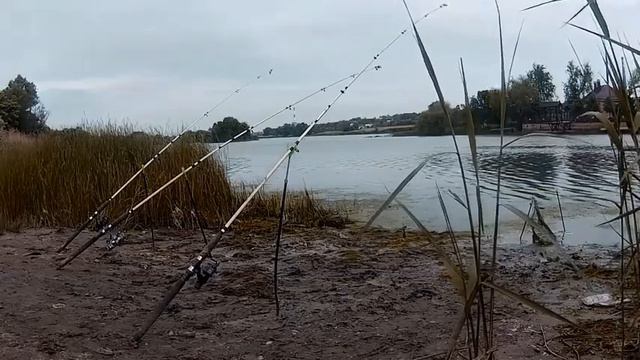 Ловля карася на фидер. смотреть онлайн