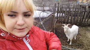 Помогите!! Вонючий козел !?как быть