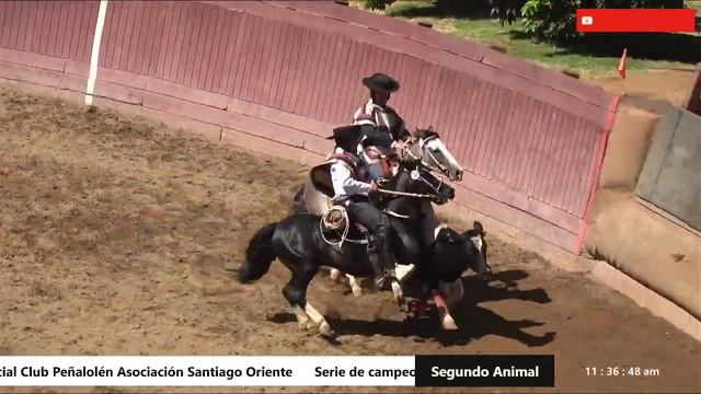 Serie de Campeones Rodeo Oficial Club Peñalolén Asociación Santiago Oriente смотреть онлайн
