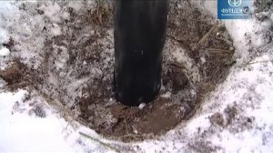 Подарок к масленице. Выпуск программы "Фазенда"