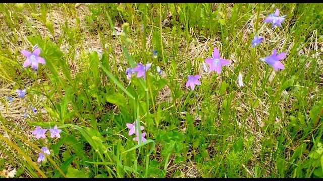 Притча о талантах Евангелие #Евангелие #притчи смотреть онлайн