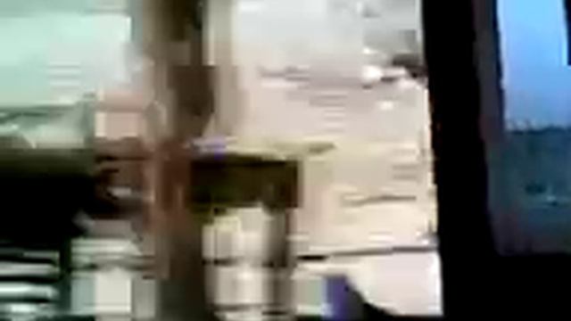 лошадь тыгд тыгд тыгд смотреть онлайн