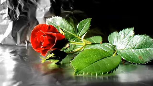 nisan nisaniv-dede.wmv смотреть онлайн