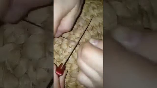 WFT CAT KG 0,6mm 80 kg смотреть онлайн