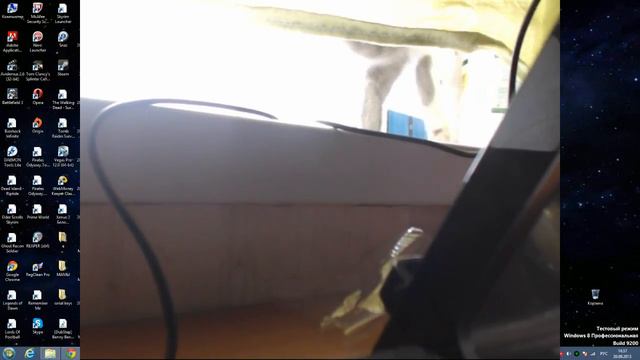 Голодная плохая киса