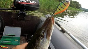 Рыбалка на Оке .день второй.