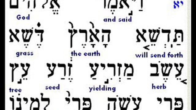 13 Torah Reading - Gen 1:11 - Verbs смотреть онлайн