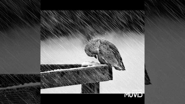 Miyagi, Andy Panda - Yamakasi смотреть онлайн