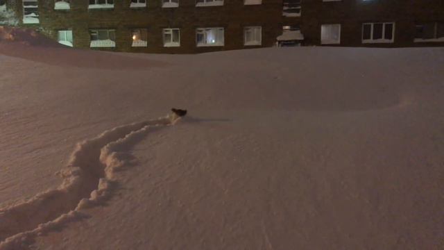Экстремальные прогулки в Норильске, ч.II смотреть онлайн