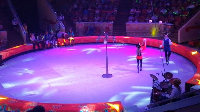 Омский цирк, жираф на острове пиратов 1 смотреть онлайн