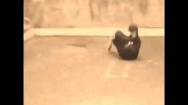 Ryan Sheckler New Skateboard Video by RobM смотреть онлайн