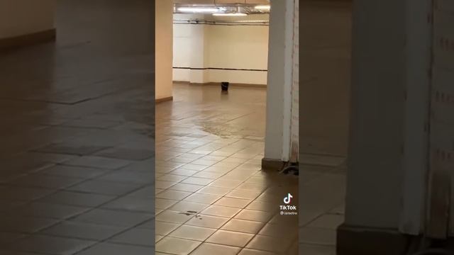 Секретная станция метро Троице-Лыково. смотреть онлайн