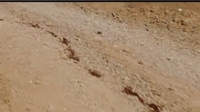 SAXRODA QIZNI ZO'RLASHDI TARJIMA KINO UZBEK TILIDA | ТАРЖИМА КИНО УЗБЕК ТИЛИДА