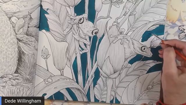 Adult Coloring in Fragile World смотреть онлайн