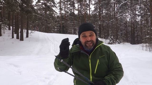 Антишок! Треккинговые палки Quechua Forclaz 500 от фирмы Декатлон