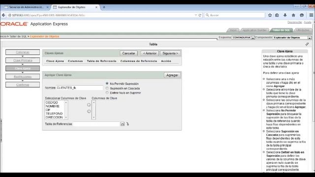 IMPLEMENTACION ORACLE APPLICATION EXPRESS ORACLE 11G смотреть онлайн