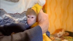 Этот подарок тронул нас до ГЛУБИНЫ СЕРДЦА! Люська устроила распаковку!