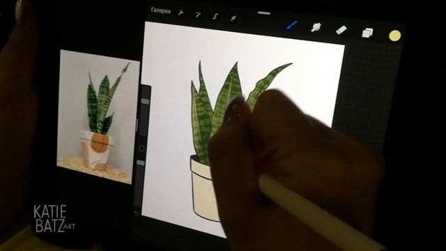 Procreate 5 - рисуем сансевиерию смотреть онлайн