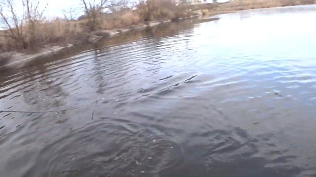 МИЛЛИОН КАРАСЯ !!! Рыбалка Кастинговой Сетью смотреть онлайн