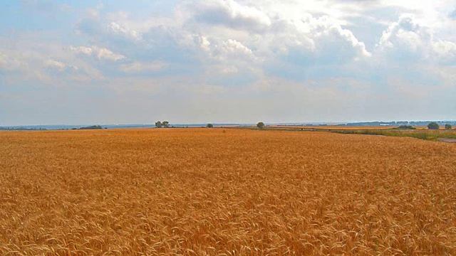 Крылатые качели смотреть онлайн