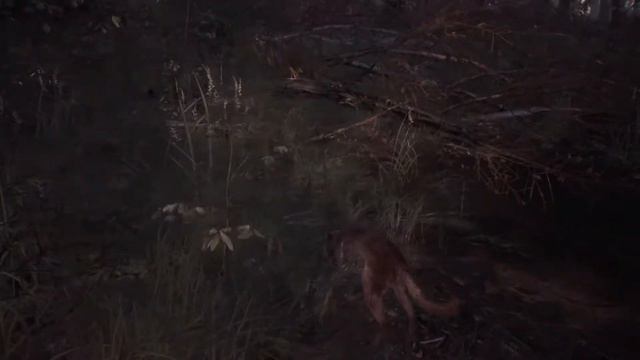 Terrify Tyler Blair Witch Edition Ep. 1: Tyler Walks into The Woods смотреть онлайн