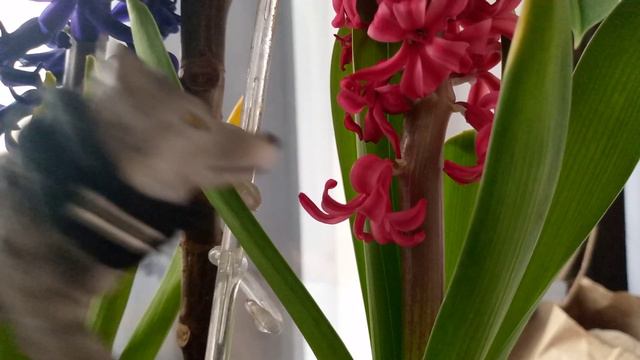 вопрос ответ зависит от вас смотреть онлайн