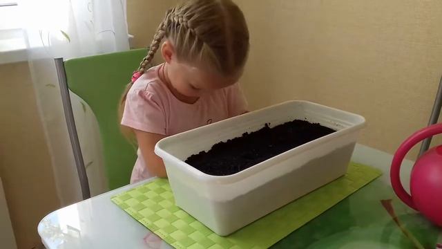 Рассказ для детей "САМЫЙ КРАСИВЫЙ ЦВЕТОК". Ульяна посадила цветок. смотреть онлайн