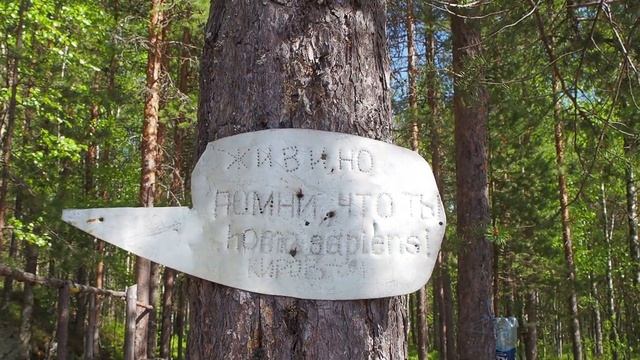 #4.СЕВЕРНАЯ КАРЕЛИЯ. РЕКА ВОНЬГА. Одиночный сплав. 2019г. Пакрафт Иволга. Озеро Муромозеро. смотреть онлайн