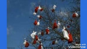 Мартеница – символ  Болгарии.