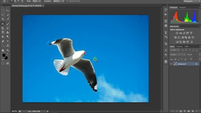 Cara mudah mudah pindahkan burung di langit | Aware Move Tool Photoshop CS6 2022 смотреть онлайн