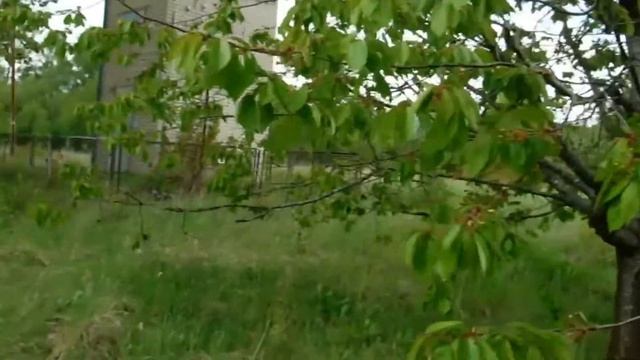 Приекуле 2021, улица Лебеденко 11, 12. смотреть онлайн