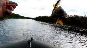 Воблер Орбит 110 на малой речке   Уловистый цвет !!!